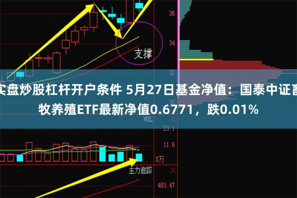 实盘炒股杠杆开户条件 5月27日基金净值：国泰中证畜牧养殖ETF最新净值0.6771，跌0.01%