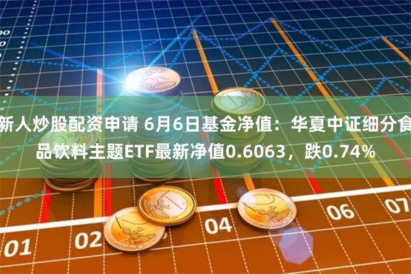 新人炒股配资申请 6月6日基金净值：华夏中证细分食品饮料主题ETF最新净值0.6063，跌0.74%