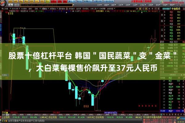 股票十倍杠杆平台 韩国＂国民蔬菜＂变＂金菜＂，大白菜每棵售价飙升至37元人民币